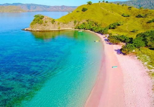 pantai-pink-flores.jpg