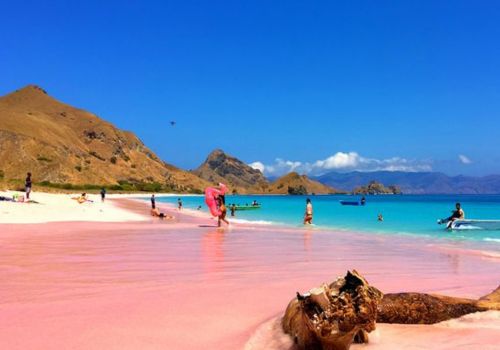 pantai-pink-labuan-bajo.jpg